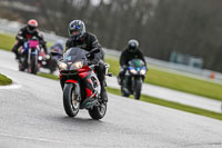 Oulton-Park-14th-March-2020;PJ-Motorsport-Photography-2020;anglesey;brands-hatch;cadwell-park;croft;donington-park;enduro-digital-images;event-digital-images;eventdigitalimages;mallory;no-limits;oulton-park;peter-wileman-photography;racing-digital-images;silverstone;snetterton;trackday-digital-images;trackday-photos;vmcc-banbury-run;welsh-2-day-enduro